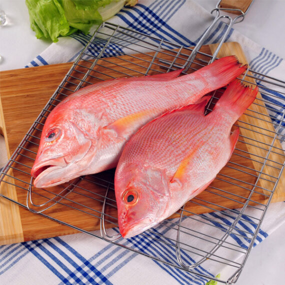 Red Snapper Whole (800g to 950g) (Order will be delivered 2-3 hours)