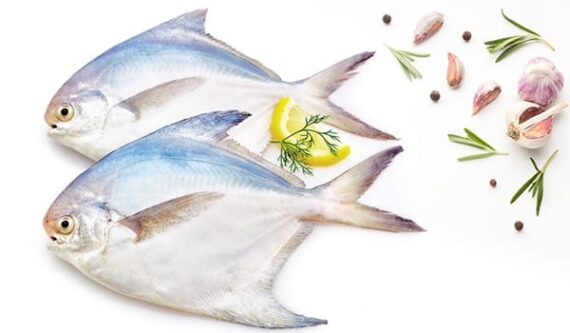 Pomfret Fish-Clean/Fresh (800g-950g) (Order will be delivered 2-3 hours)